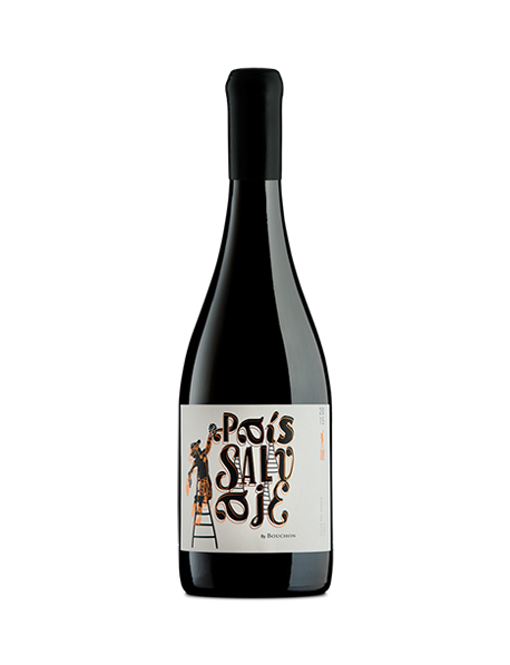 Vin rouge Chili Salvaje Pais 2020 - J. Bouchon Valle de Maule - En