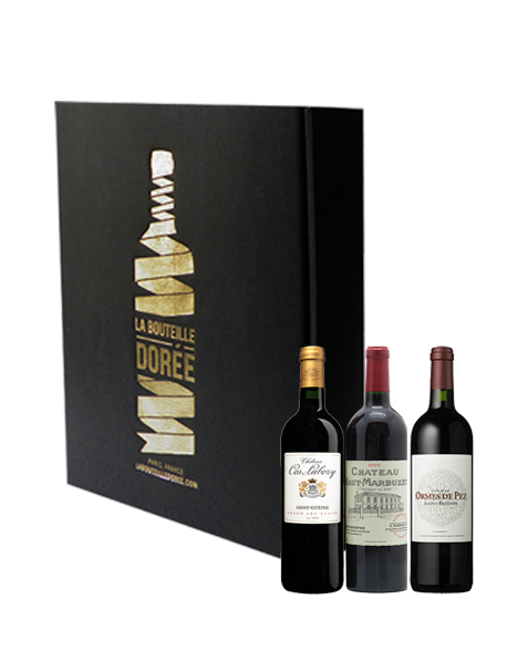 Coffret cadeau vin Bordeaux Saint-Estèphe - 3 bouteilles - En stock
