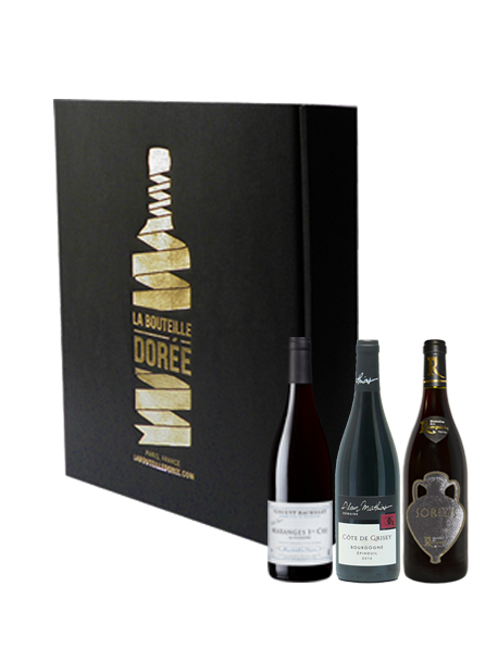 Coffret vin Bourgogne rouge 3 bouteilles - Cépages Pinot Noir et César