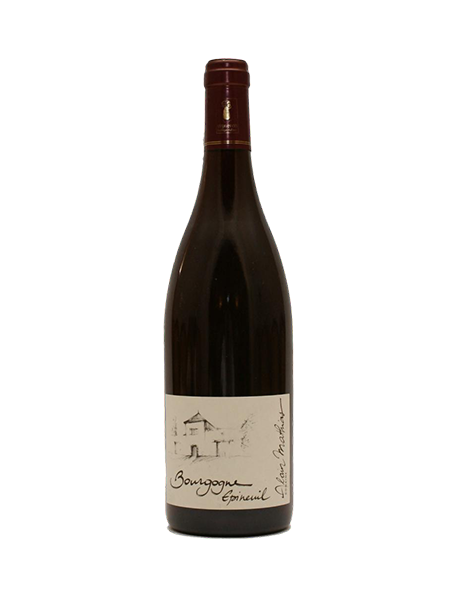 Vin rouge bio Bourgogne Epineuil Côte de Grisey 2022 en stock, livraison 24h