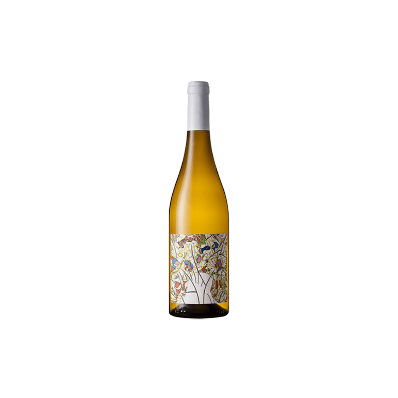 Muscadet BIO Côtes-de-Grandlieu Les Parcelles - Domaine Les Hautes Noëlles