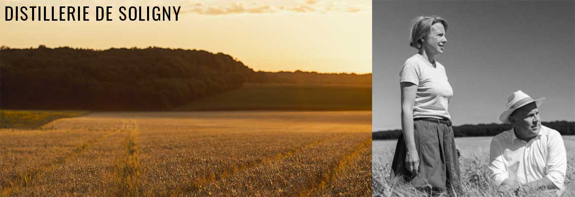 Distillerie de Soligny, Whisky français d'exception produit en Champagne